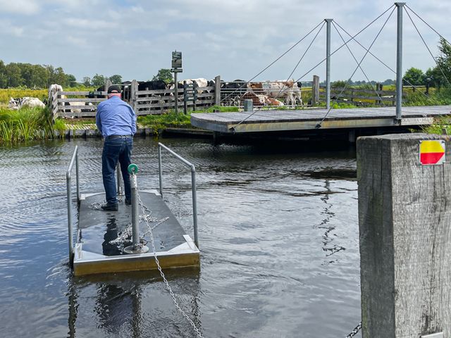 Het veertje brengt naar een natuurgebied