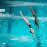 Eindhoven Diving Cup
