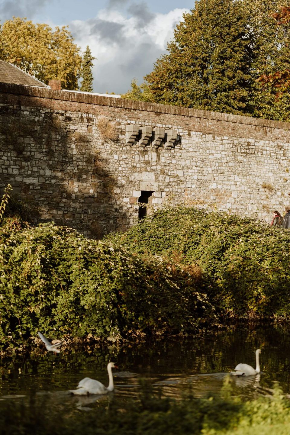 Maastricht city park city wall water with swans