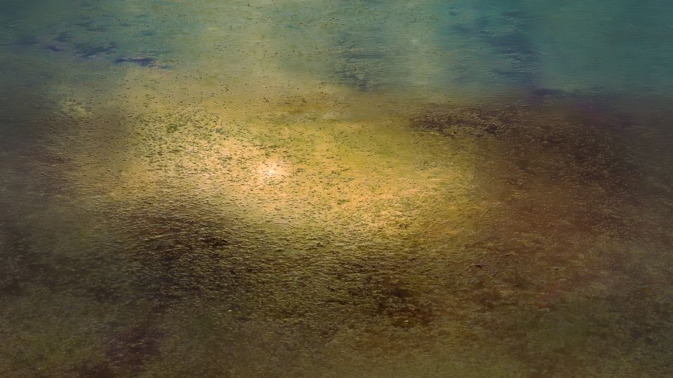 Cover groepsexpositie Nepenthe in Atelier 21