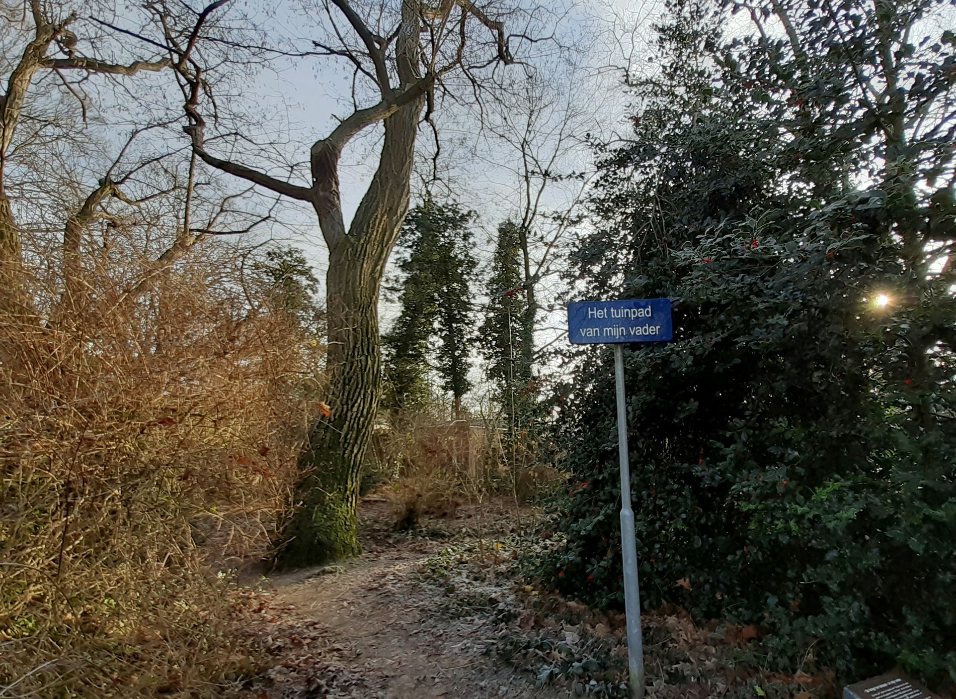 Het Tuinpad van mijn vader winter