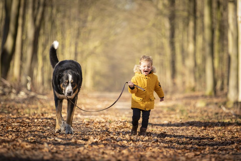 Een klein jongetje loopt met een grote hond door een herfstig bos