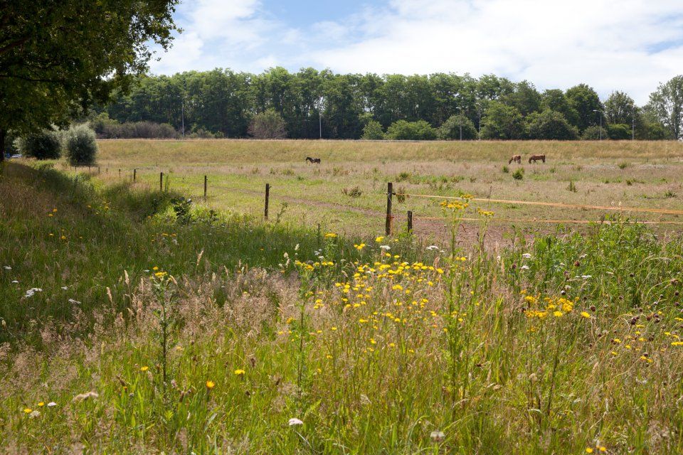 Onderdeel van Linie 1629