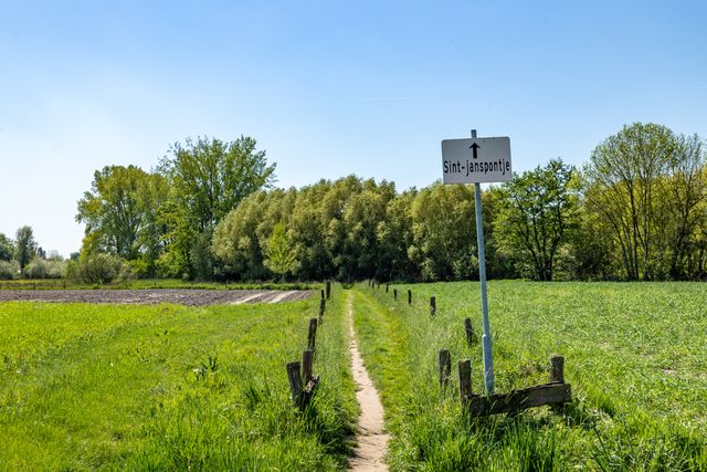 Liempde natuur 2