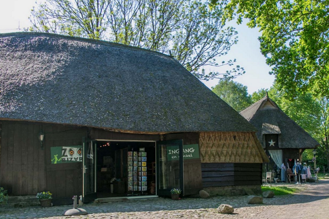 Ein Bauernhof in Orvelte, auf dem sich Zoo Bizar befindet.