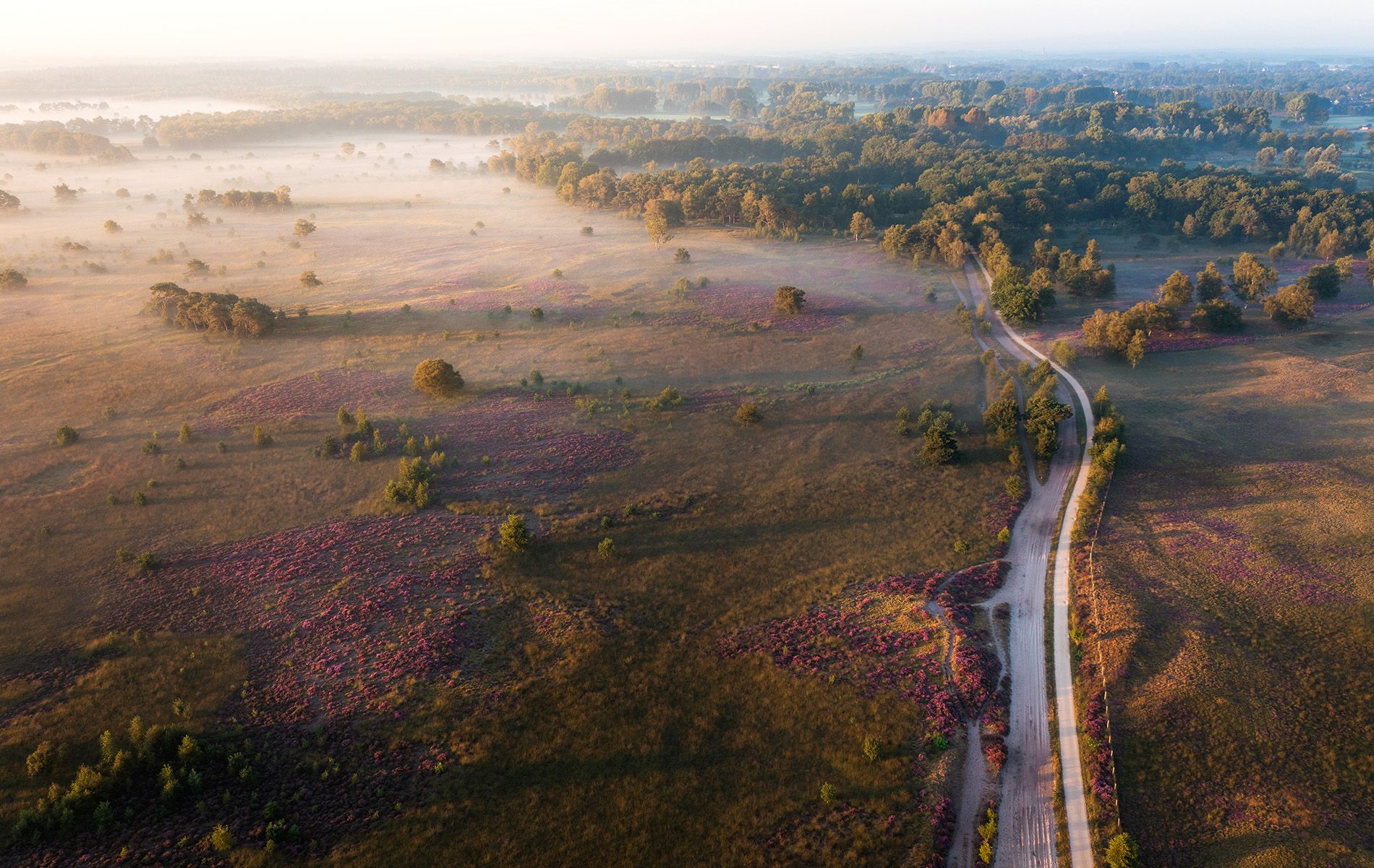 Strabrechtse Heide