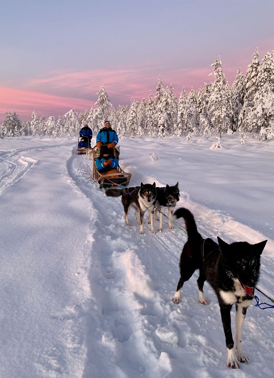 Husky-tocht in het Zweedse Lapland