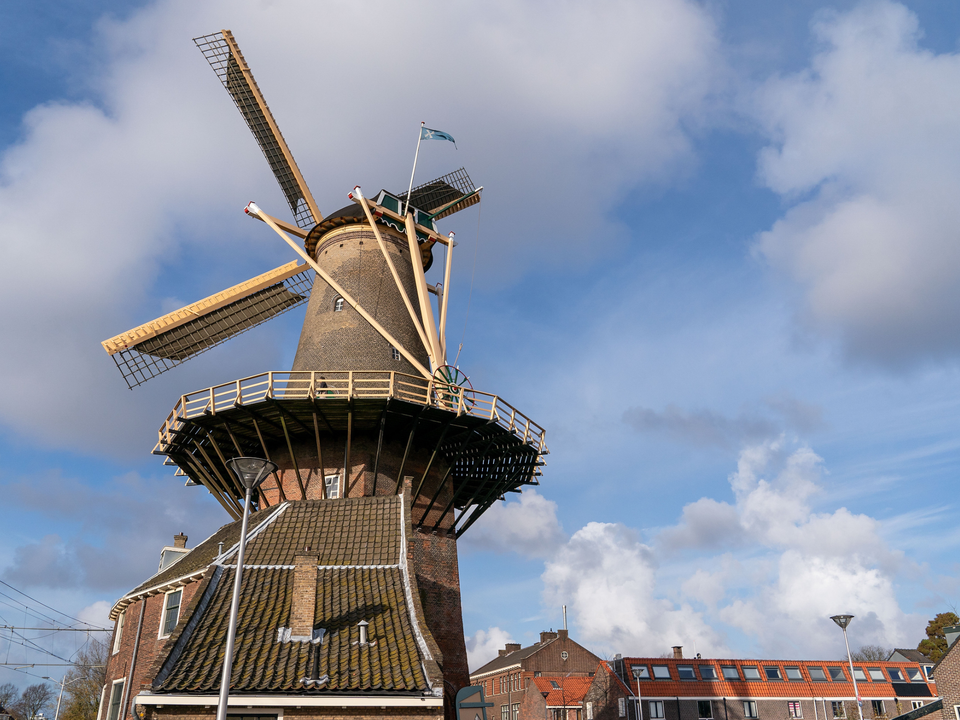 Molen de Roos in Delft