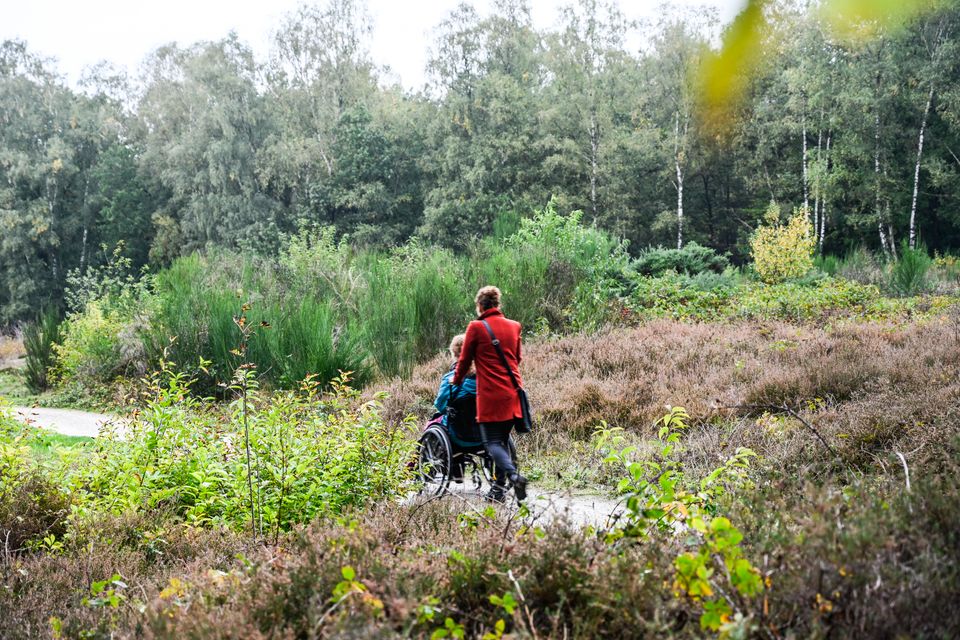 Eén persoon in rolstoel en één persoon die de rolstoel duwt door een paarse heide.