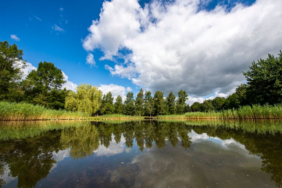 Natuur in Dalen