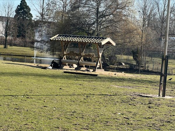 Animal Park 't Regter Eind