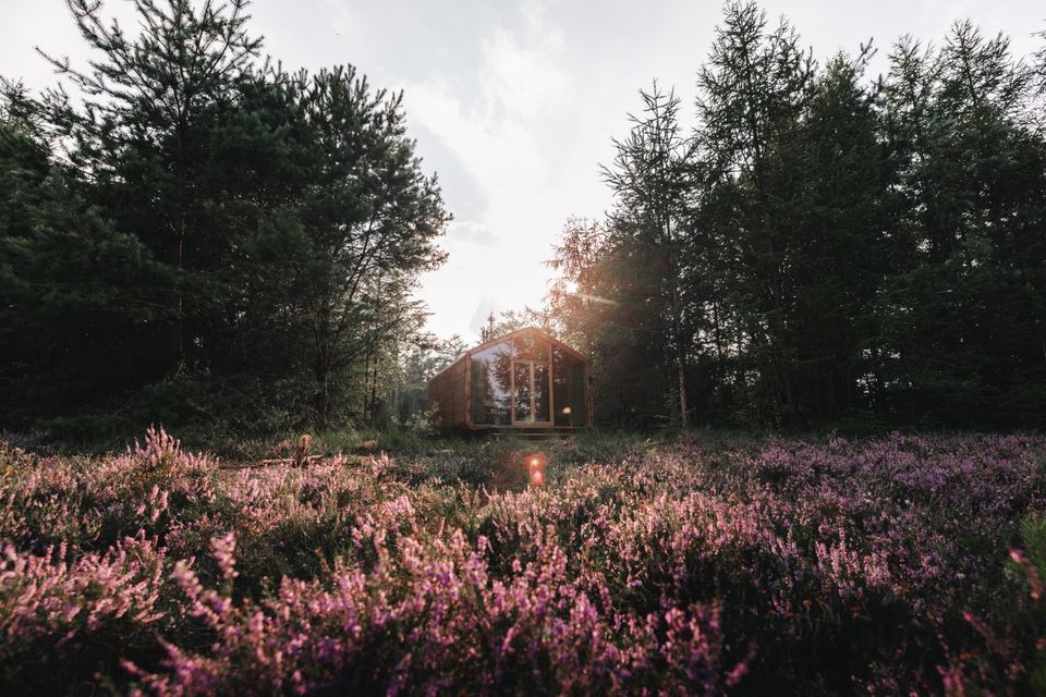 Een cabin in het bos met paarse heide op de voorgrond.