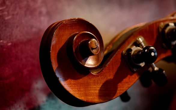 foto: ®2025 RFmr20251130 | Remie Fotografie | Margo Remie