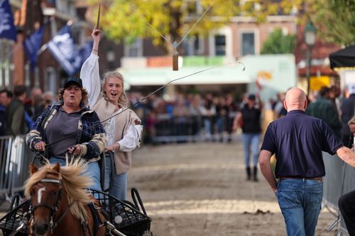 Show paardenmarkt Ameide