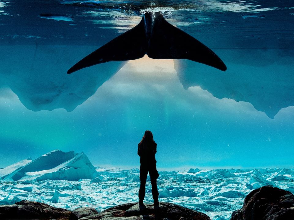 poolijs met mansperoon