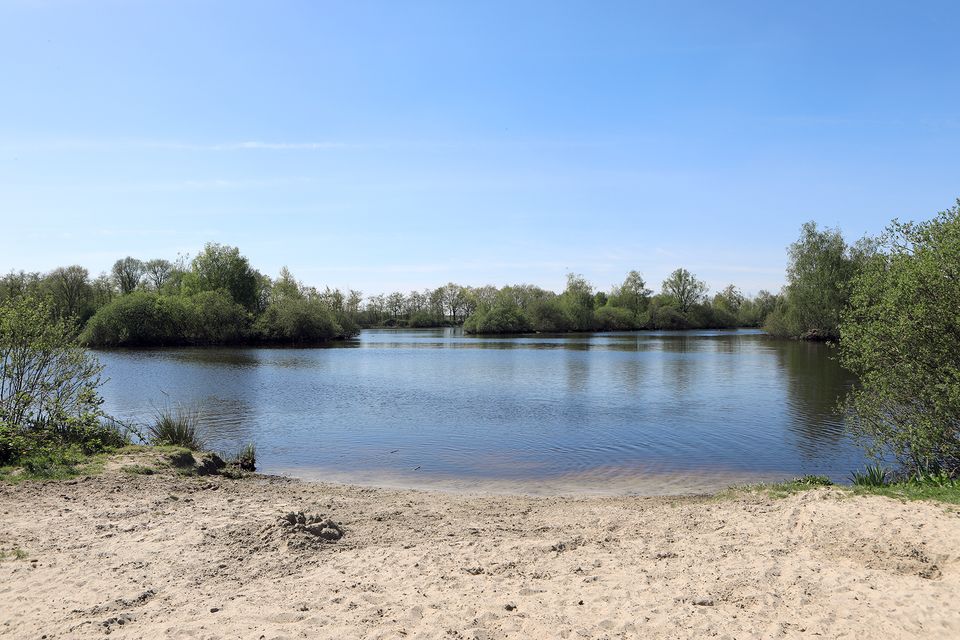 Landschap Zwettepoel Joure-Broek met een heldere lucht