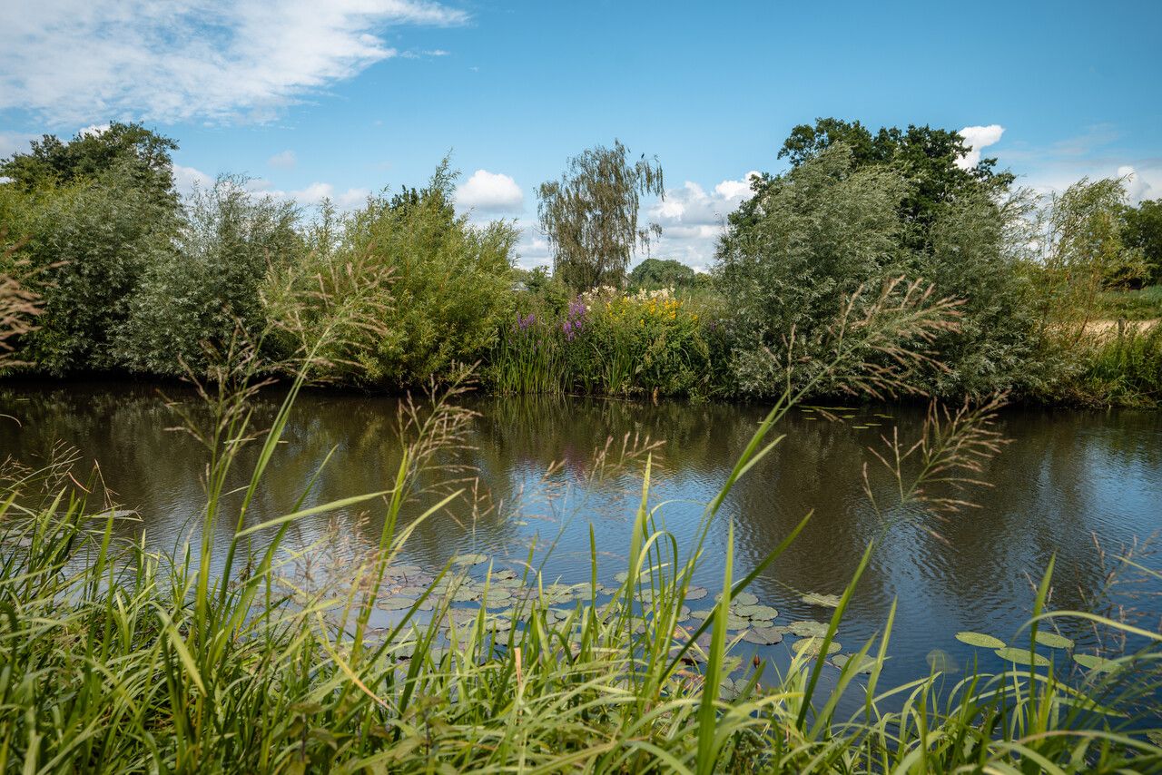 Peppellandschap van de Meierij met uitzicht op de Dommel