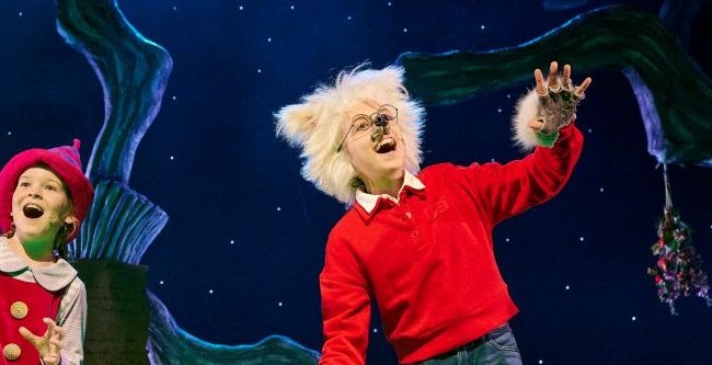 Dolfje Weerwolfje en Foeksia de Miniheks (5+) - Rep Entertainment