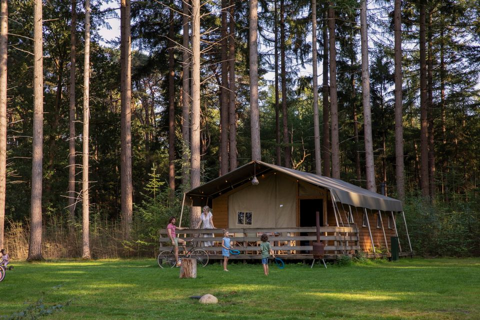 Gezin verblijft in een safaritent op een camping tussen de hoge bomen.