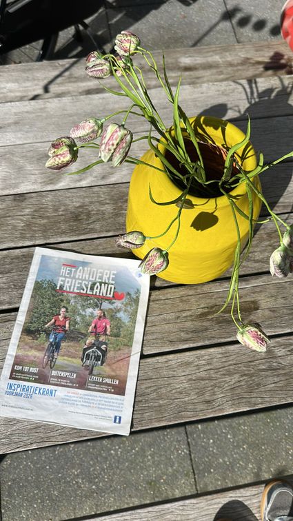 Inspiratiekrant Zuidoost-Friesland