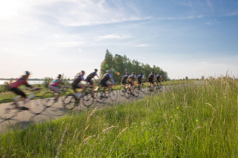 Wielrenners in de natuur van Lelystad, Flevoland