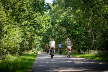 Groepje fietsers tussen de groene bomen in de Van Tienhovenlaan in Oisterwijk