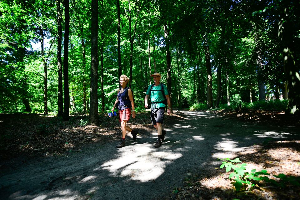 Twee wandelaars lopen over een schaduwrijk bospad op het landgoed rond Kasteel Renswoude. De foto laat wandelen en recreëren in de groene omgeving van Renswoude zien.
