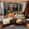 ZenZi Leeuwarden