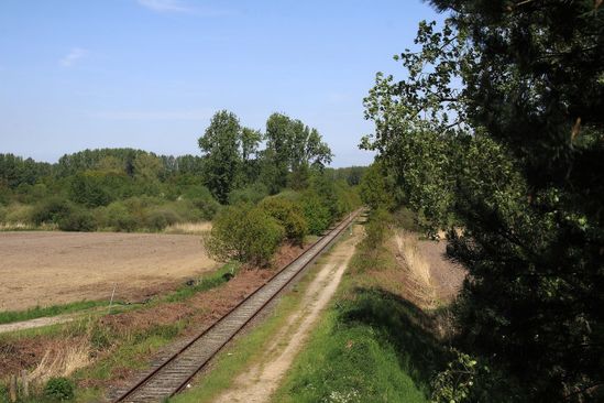 foto: 