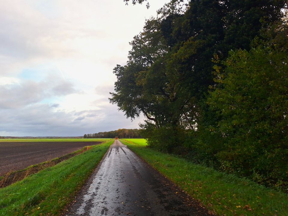 Rolstoelroute bij Fochteloo