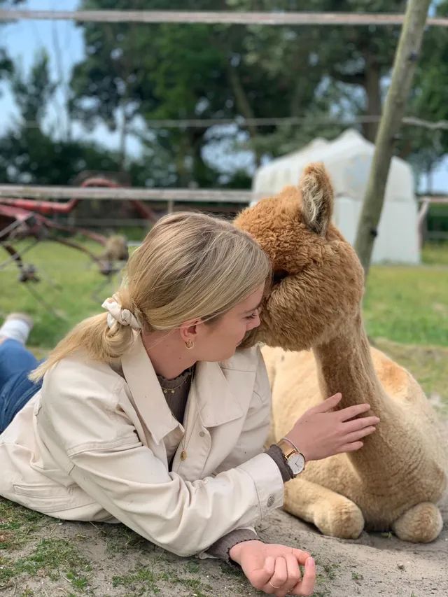 Alpaca World Friesland
