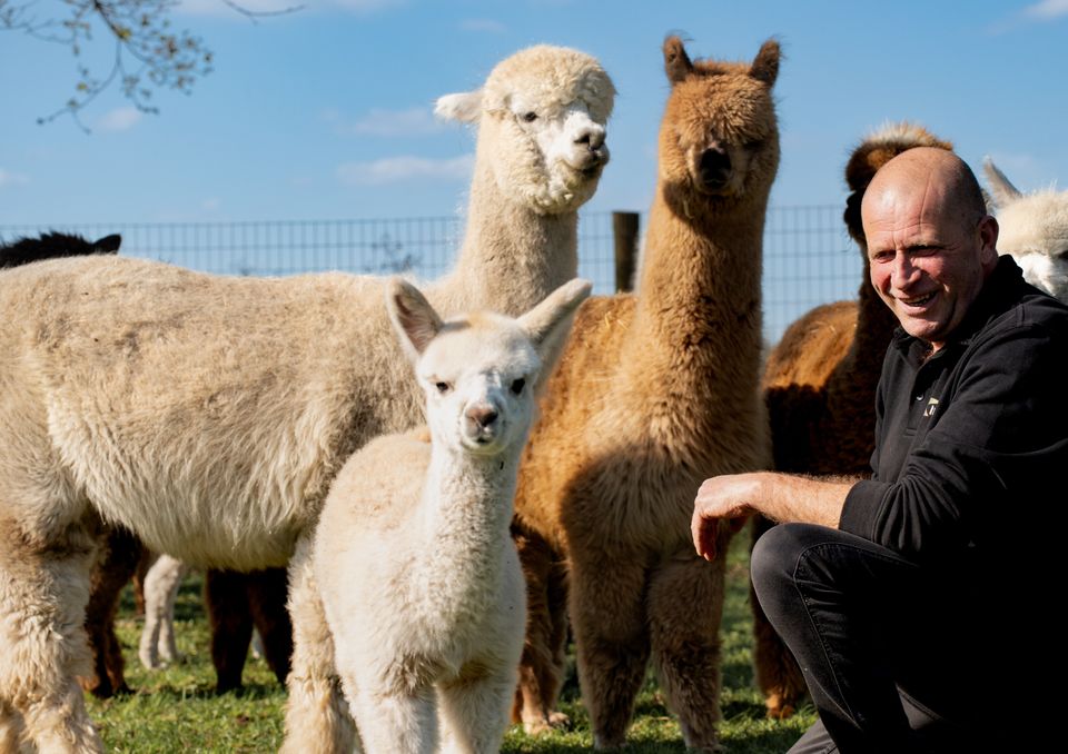 Eigenaar Jos tussen de Alpaca's