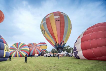 veld vol kleurrijke luchtballonnen