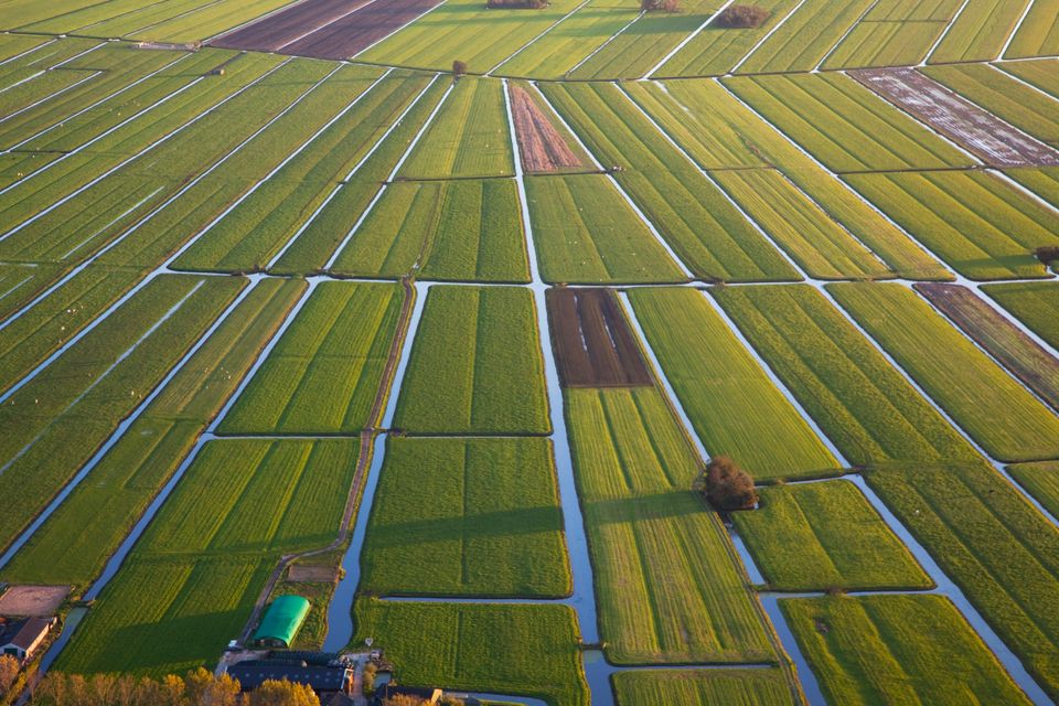cope landschap groene hart