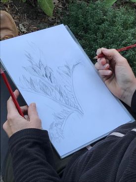 foto: IVN Natuur-tekenworkshop