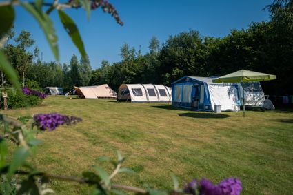 Kleine camping in Drenthe