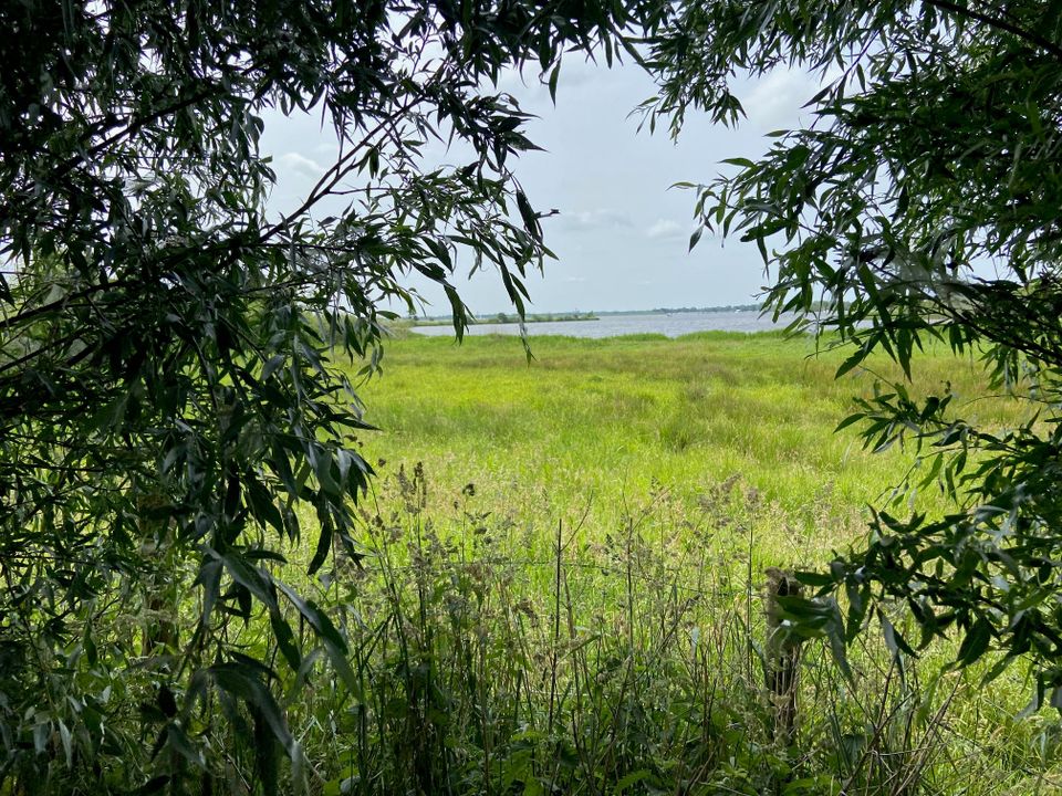 Gemoedelijk Jistrum in het coulissenlandschap