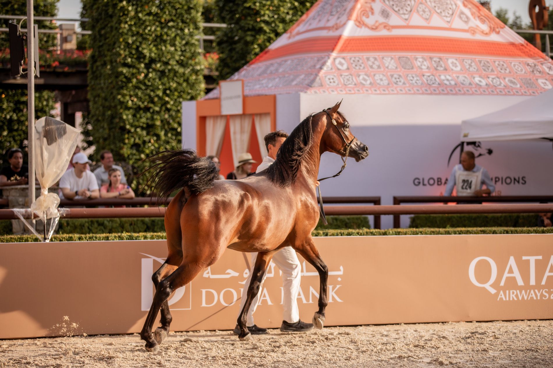 Global Champions Arabians Tour