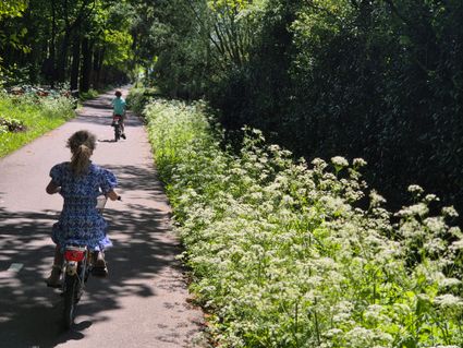 Meisje en jongetje op de fiets