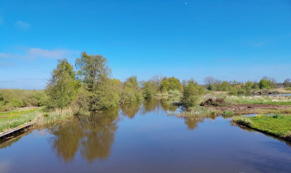 Wolvega - Blesdijke - Lendevallei | Bonifatius Kloosterpad: rondje 10