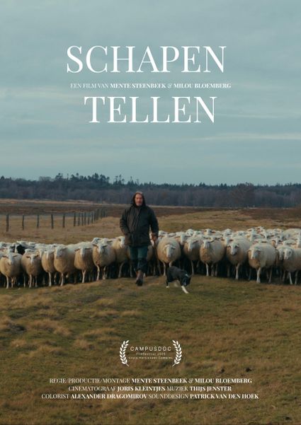 filmposter 'Schapen tellen'