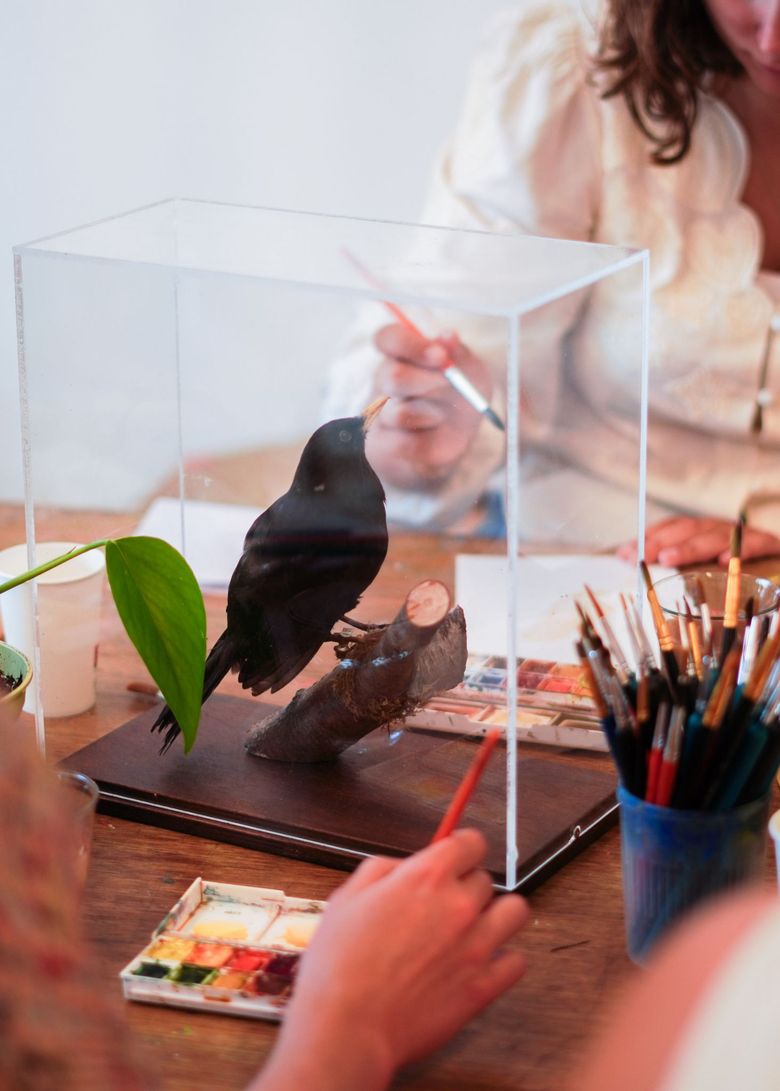 Workshop Vogels tekenen en schilderen o.l.v. Evie Mariek Meij