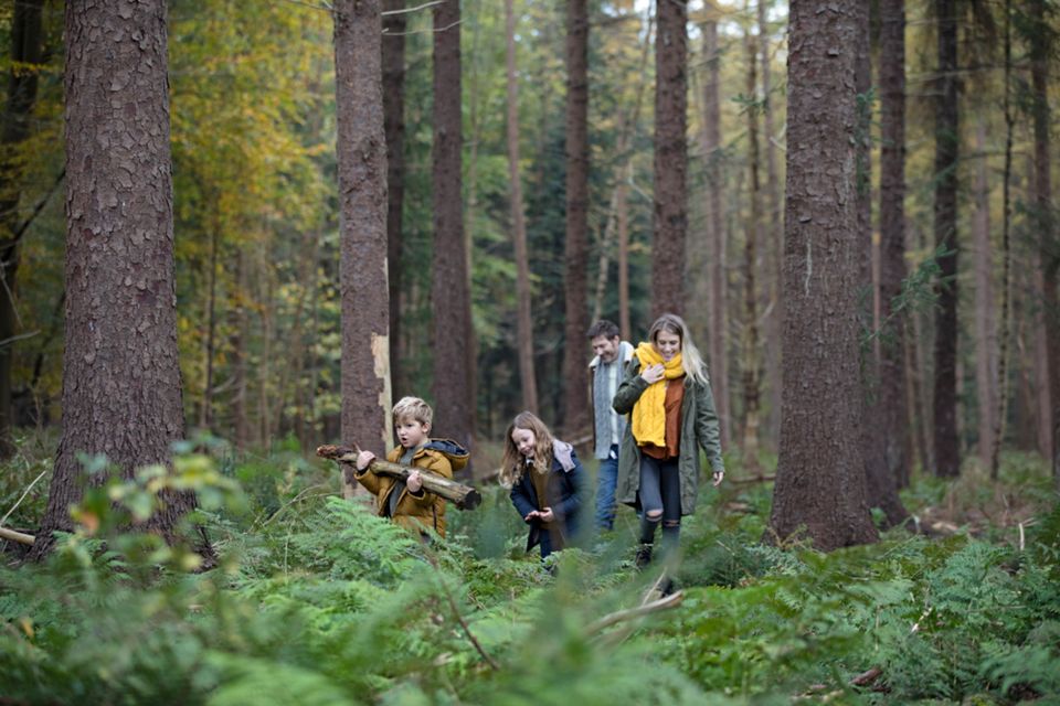 Gezin samen genietend in de Drentse bossen.