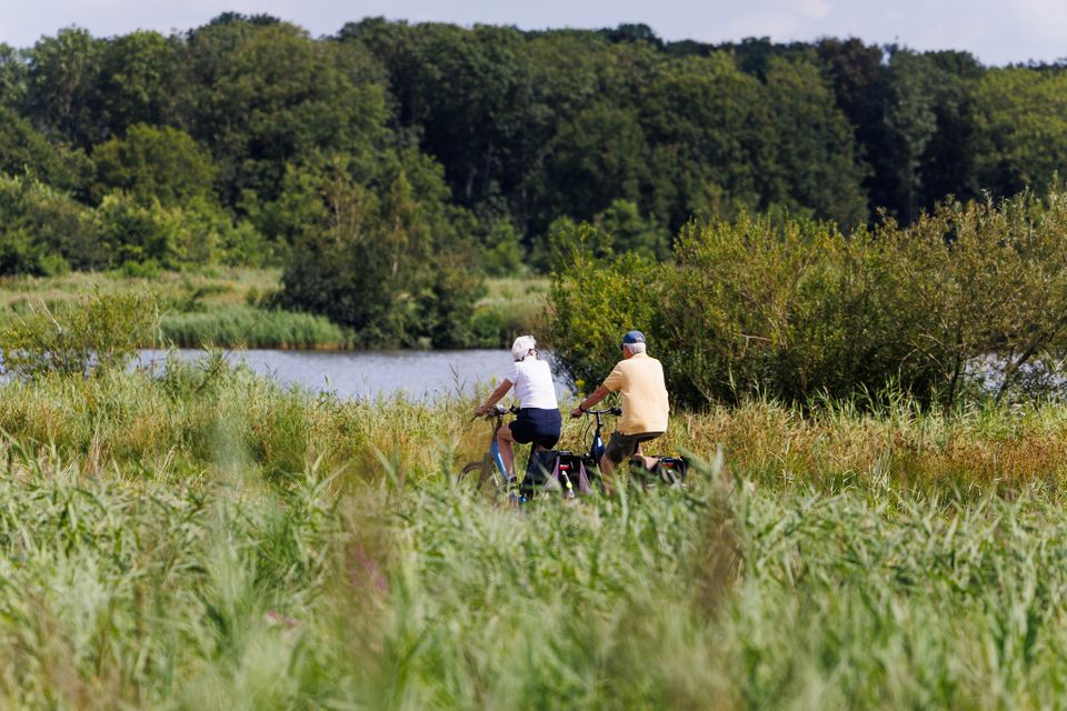 Groene Ster, recreatie, zomer