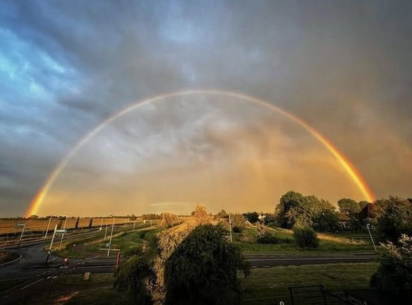 Sneeker regenboog