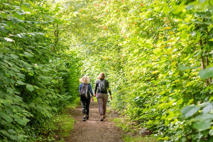 Relatiewandeling Beetsterzwaag