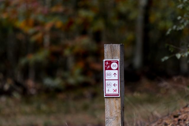 Houten knooppuntenpaal