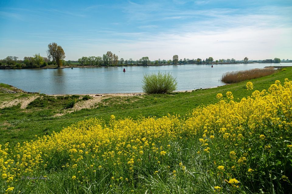Zomerwandeling met gids tussen Kromme IJssel en Lek