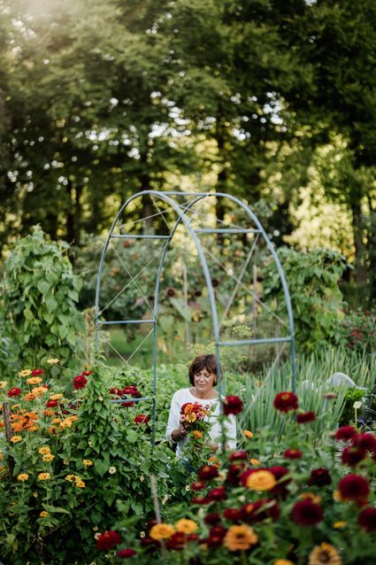 Tussen de kleurrijke rijen pluk je jouw eigen veldboeket, met bloemen die steeds met het seizoen veranderen. Van luchtige zomerbloeiers tot uitbundige dahlia’s: elke bos wordt hier uniek.