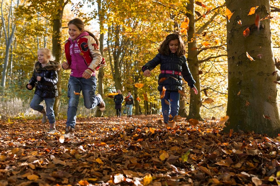 Gezin in het bos herfst